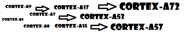 cortex